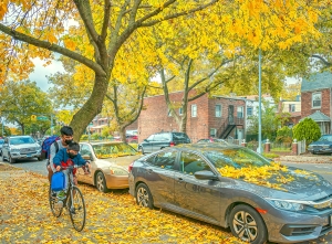 Salon Honorable Mention